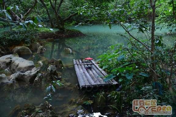 逃离潮湿的房屋